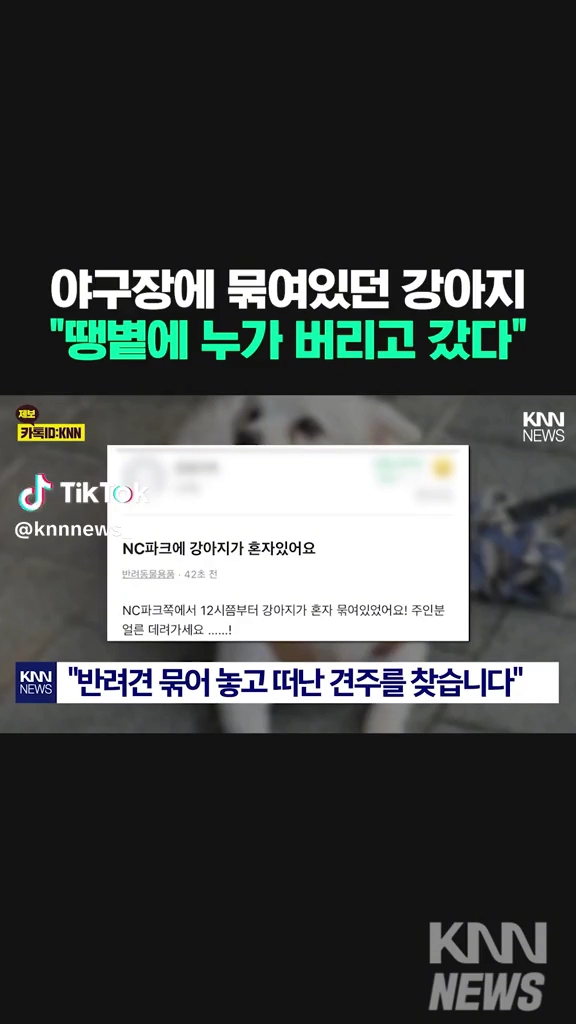 야구장에 묶여있던 강아지