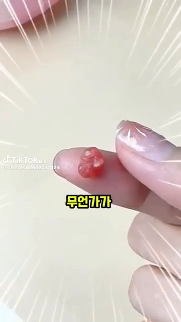 슈가글라이더 키우고싶다