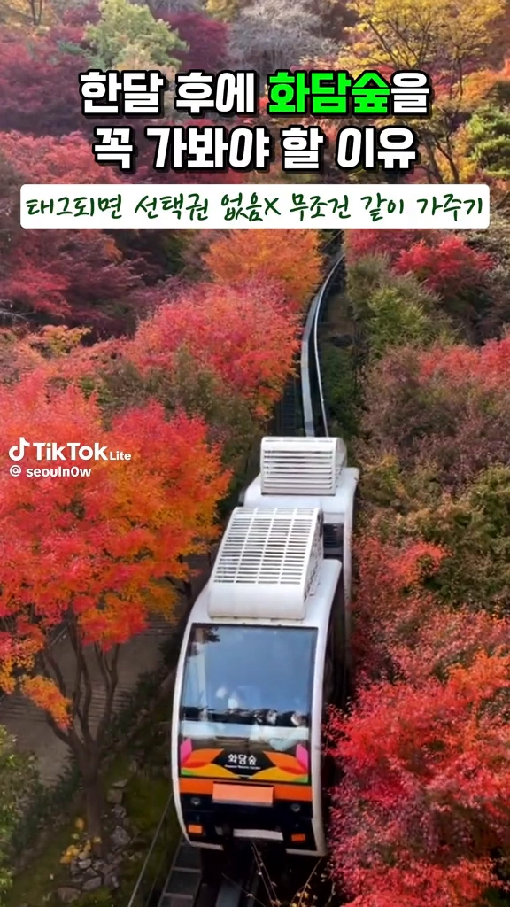 화담숲 단풍 보러가야지