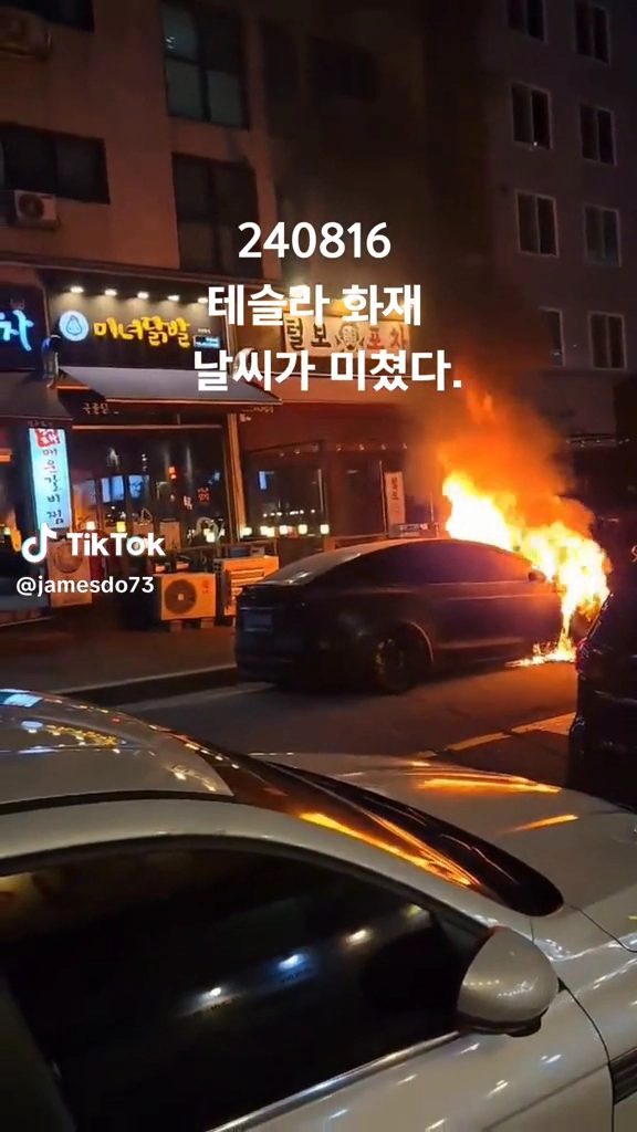 테슬라화재