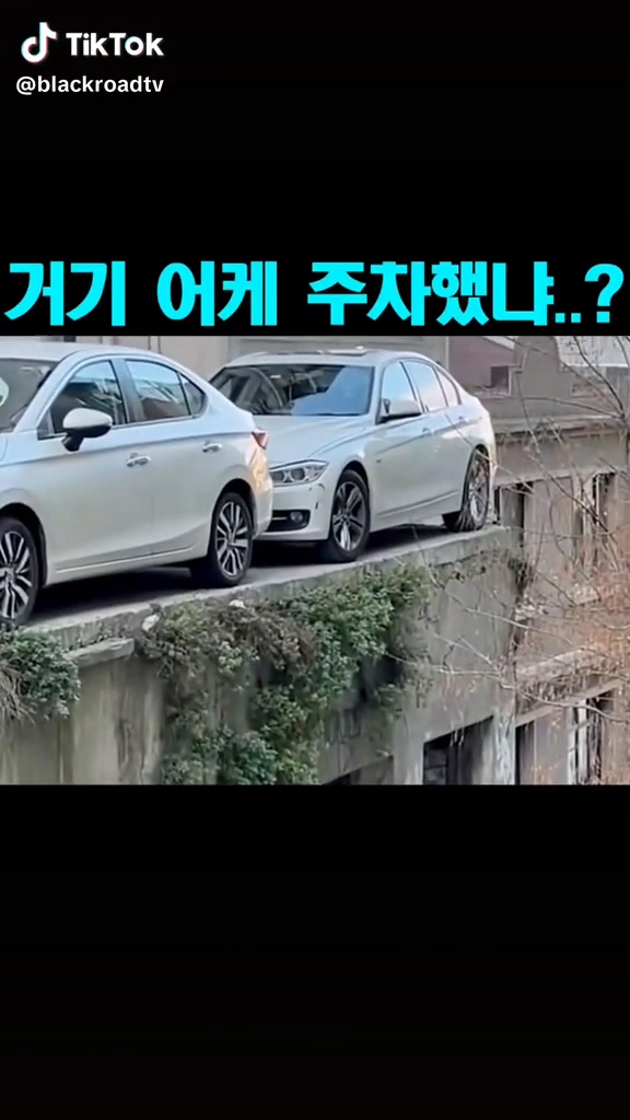 주차고수네