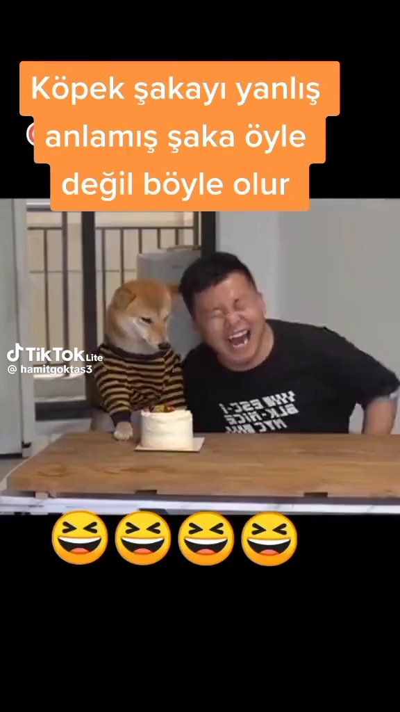 분명 개가 아니고 사람이야 ㅋ