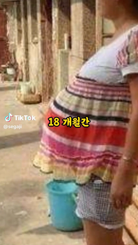 기네스기록