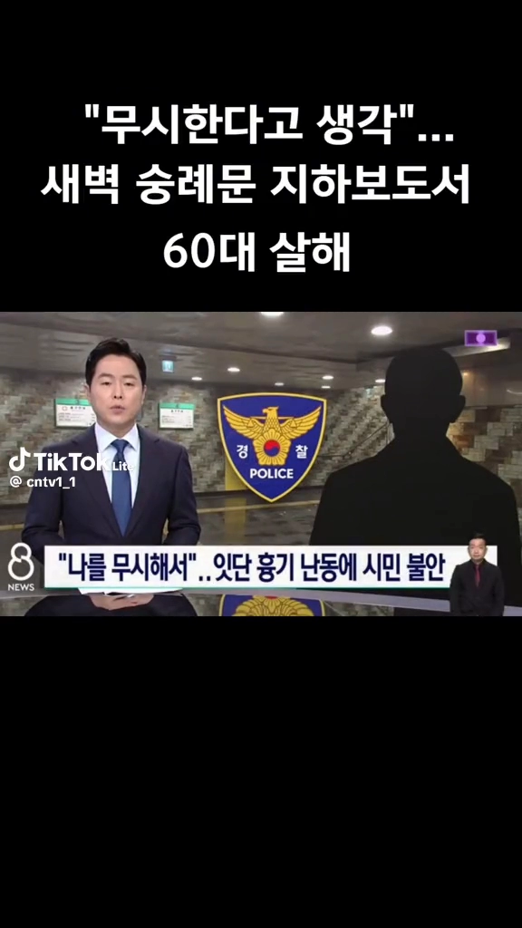 승례문 지하보도 60대 살해