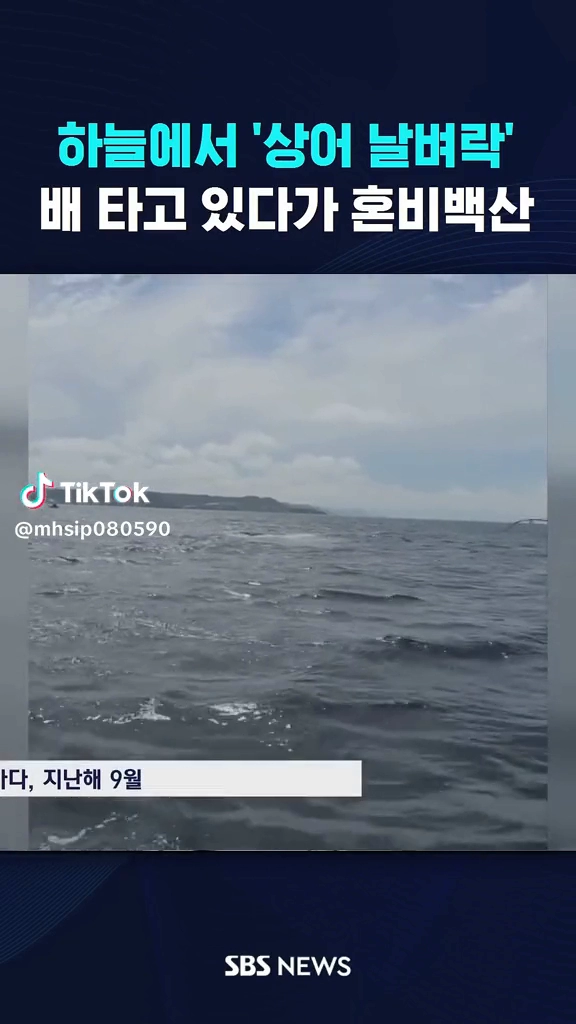 배타고있다가 혼비백산