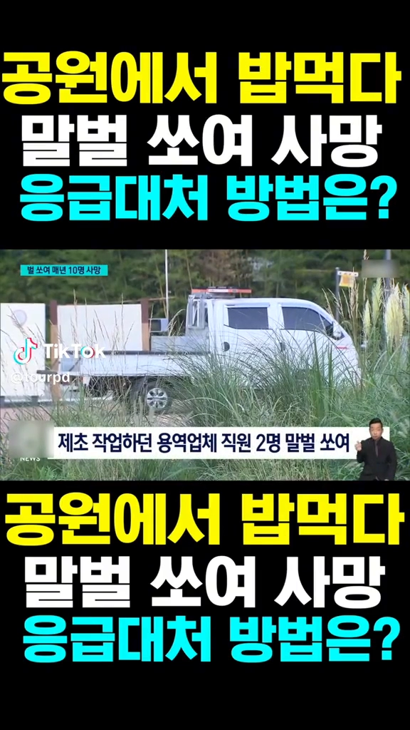 말벌에 쏘여 사망
