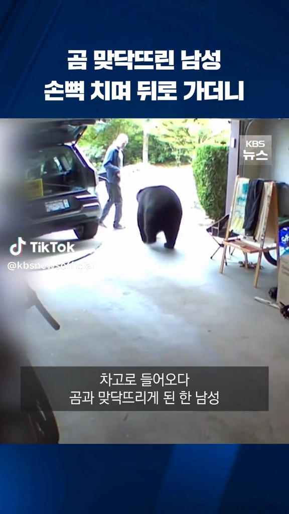 침착하네
