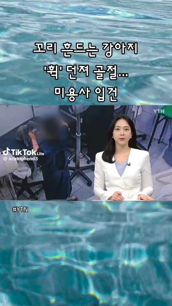 꼬리 흔드는 강아지 던져 골절