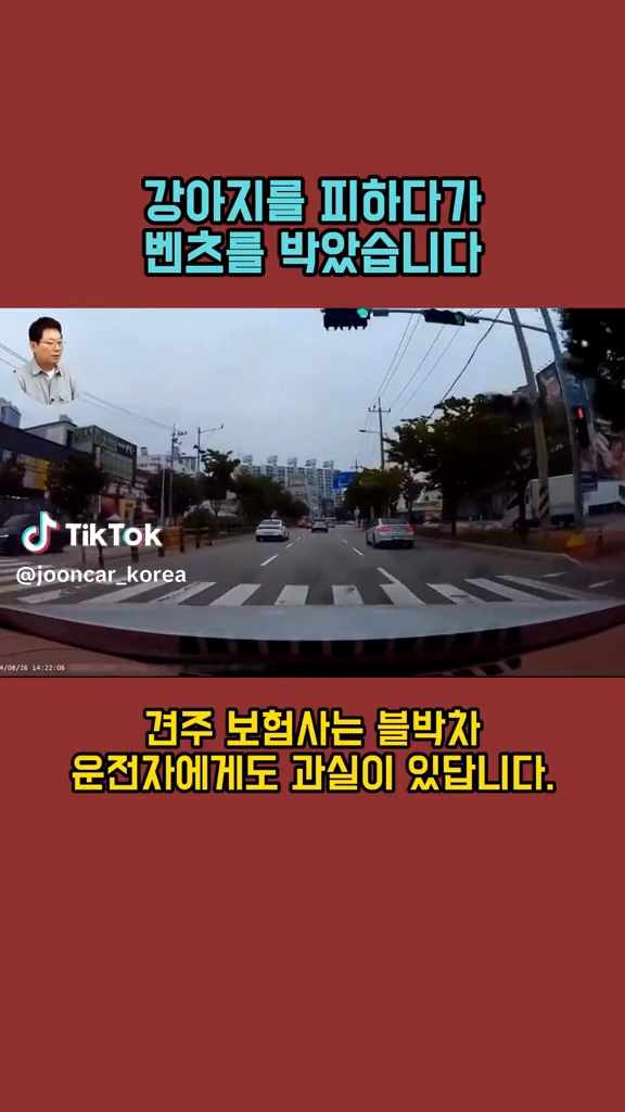 강아지를 피하다 벤츠를 박았습니다