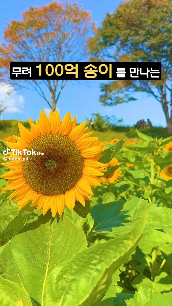 황룡강생태공원