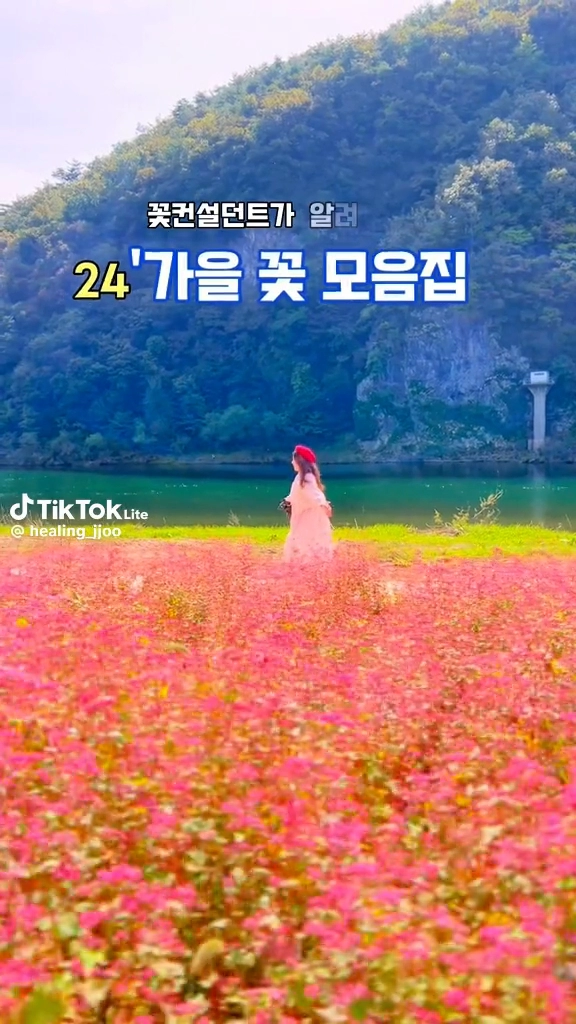 가을 꽃모음