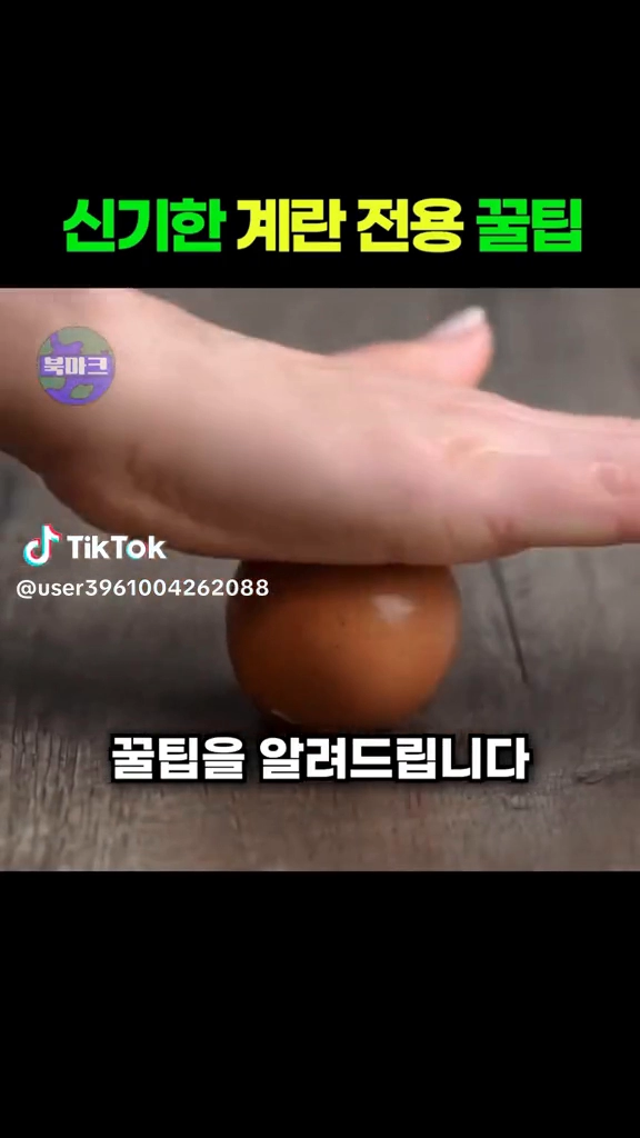 신기한 꿀팁들