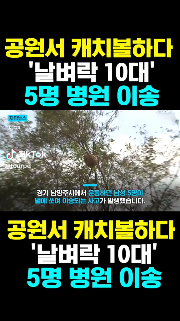 공원서 캐치볼하다 날벼락