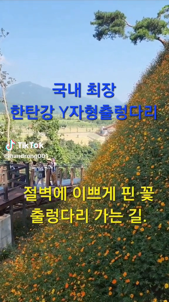 한탄강 출렁다리