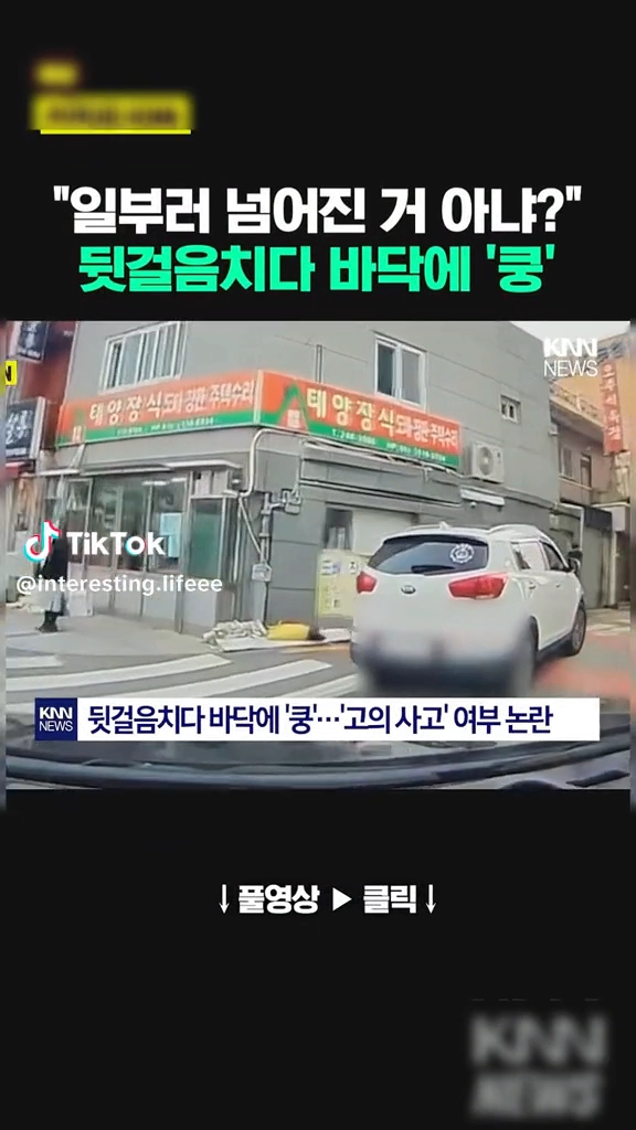 보험사기