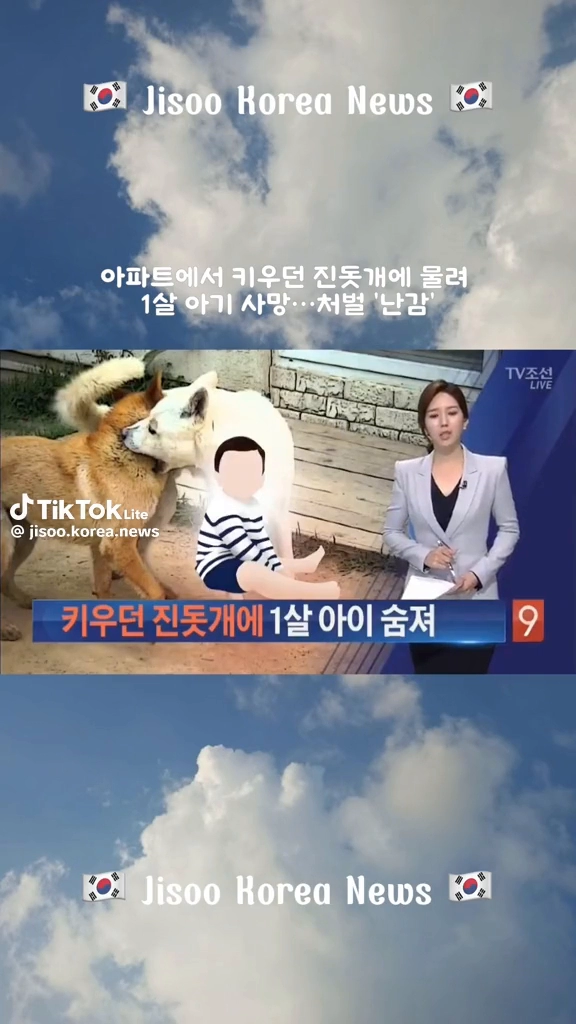 잔돗개에 물려 사망한 1살아기