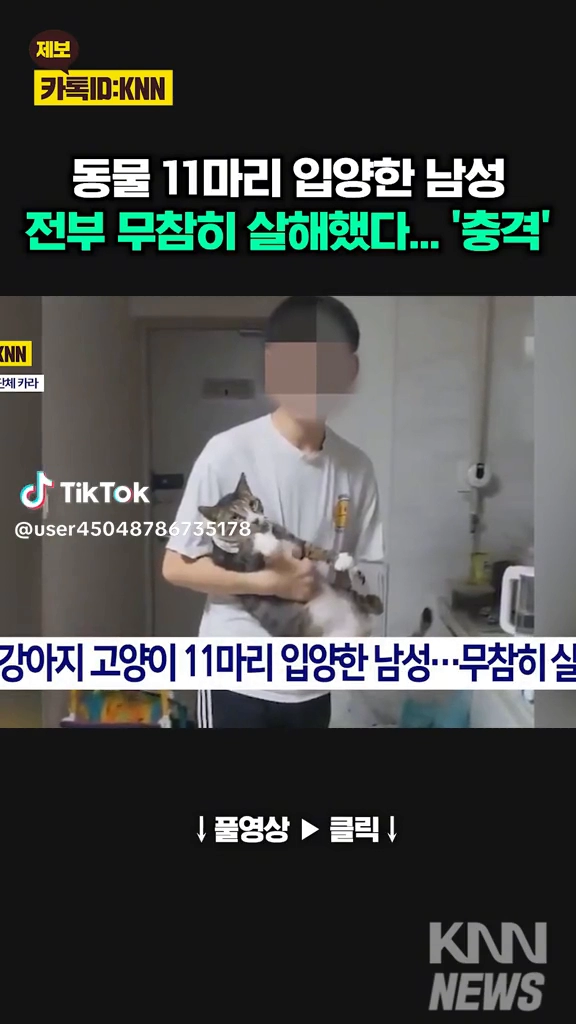 동물 11마리 입양해서 전부 무참히 살해