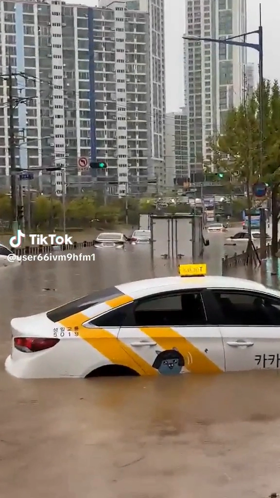 부산 난리났네