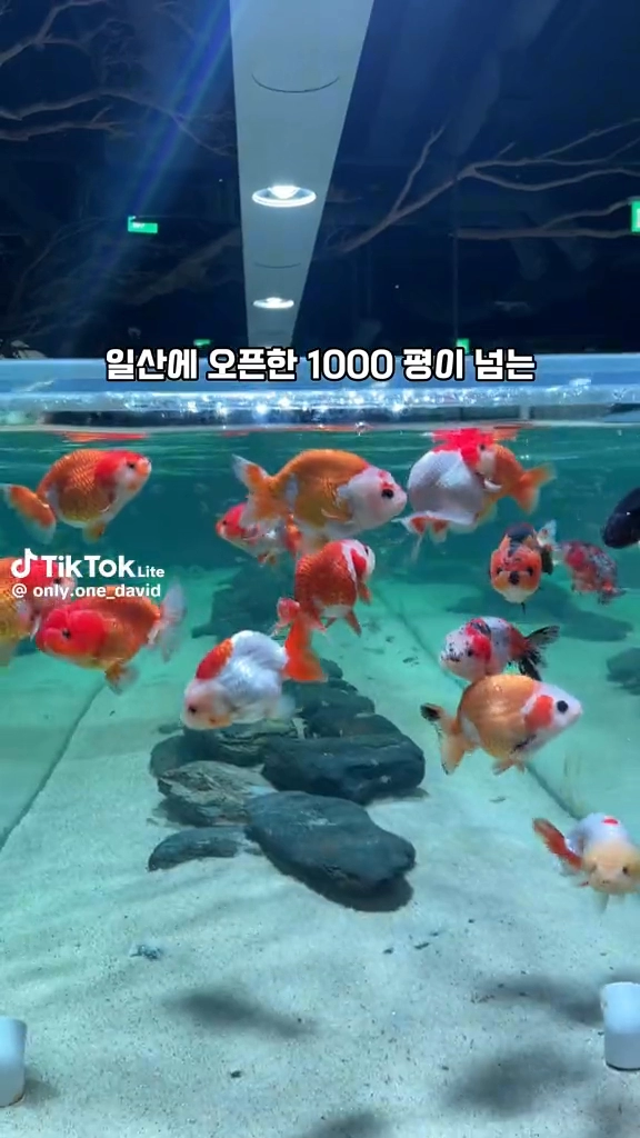 국내 최대규모 수족관