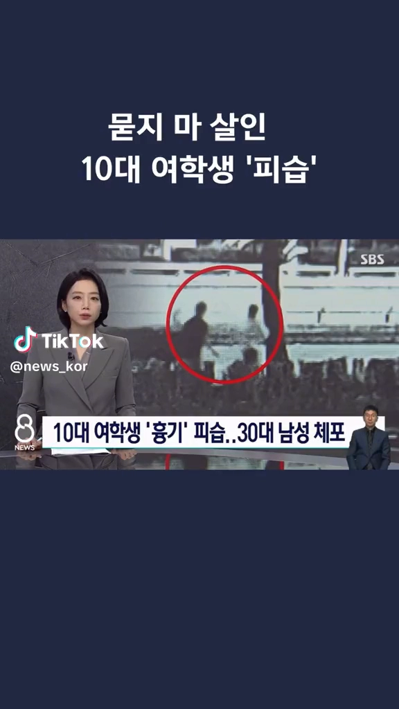 10대 여학생 피습