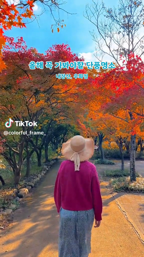 내장산 단풍