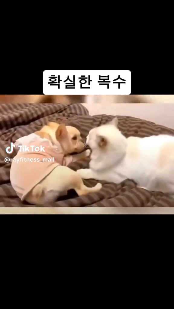 확실한 복수