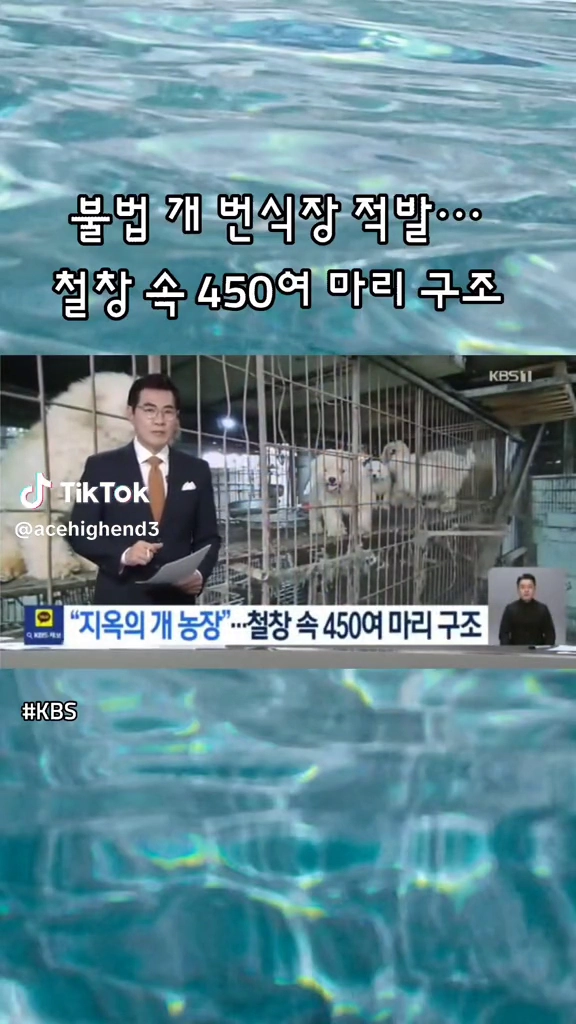 불법개번식장 또 적발