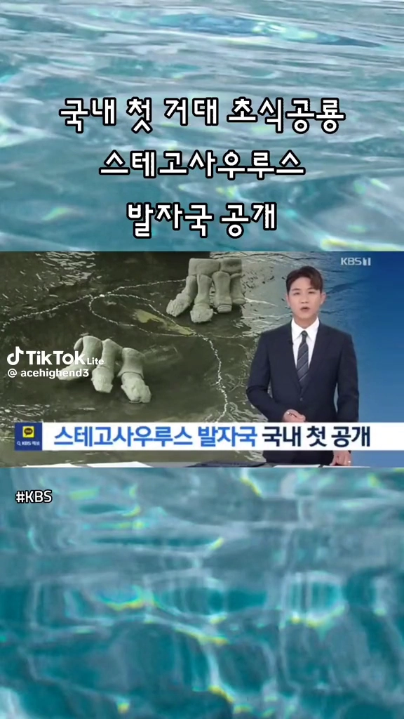 거대 초식공룡 발자국