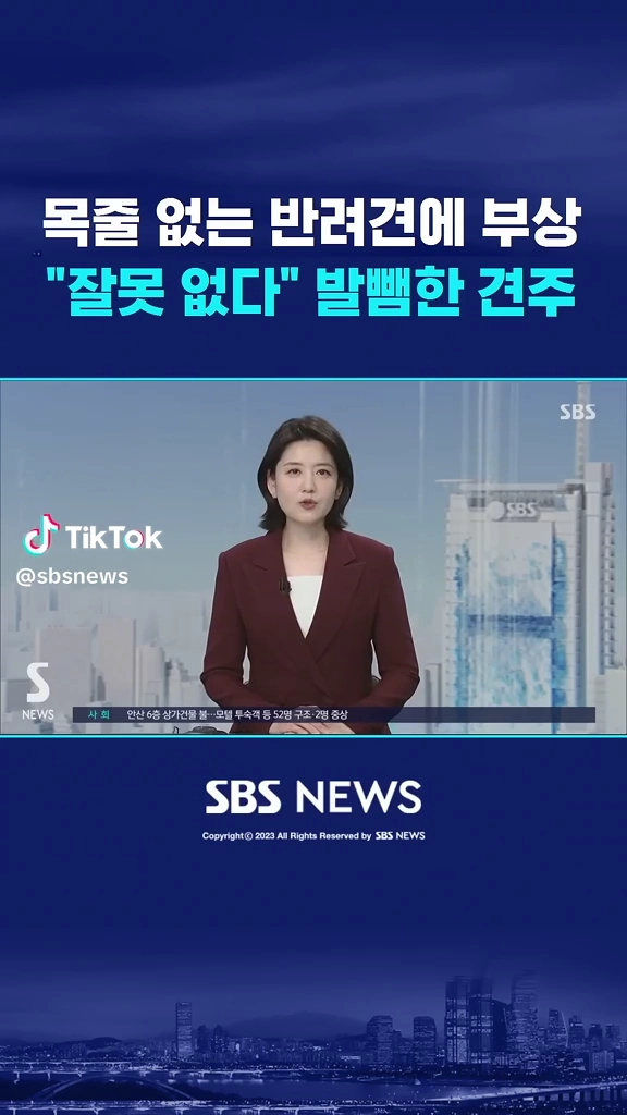 목줄없는 반려견에 부상