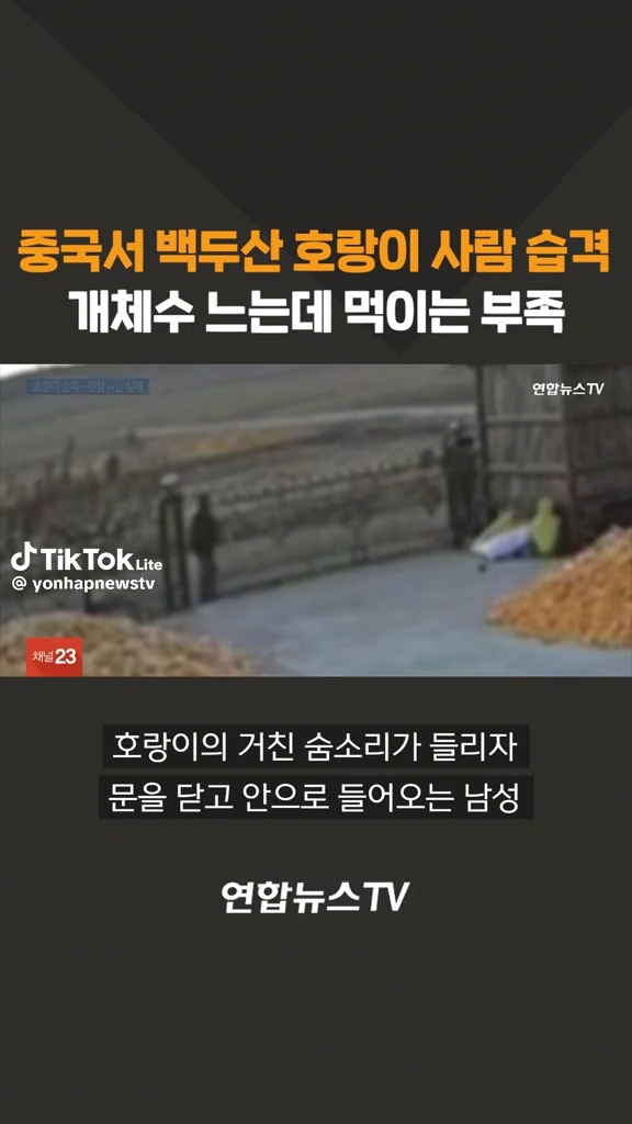 백두산 호랑이 사람습격