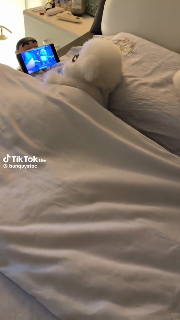 팔자좋네