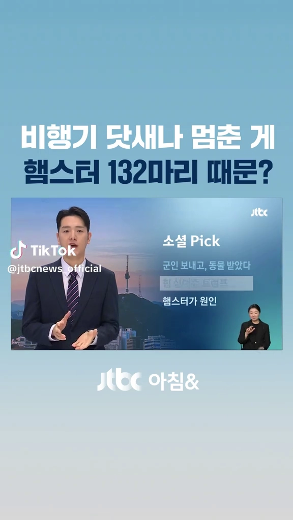 햄스터 132마리때문에 운항정지