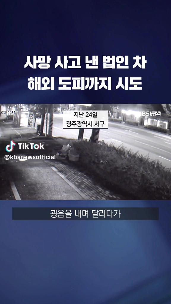 사망사고낸 법인차 해외도피시도