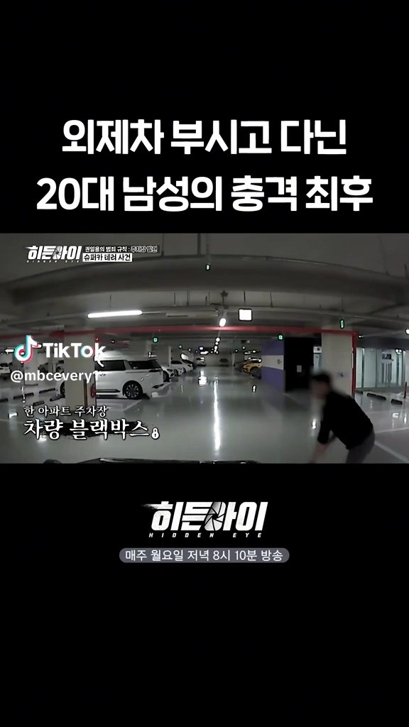 외제차 부수고 다니는 20대