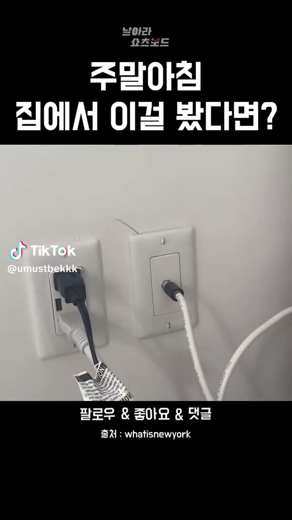 이게 뭐지