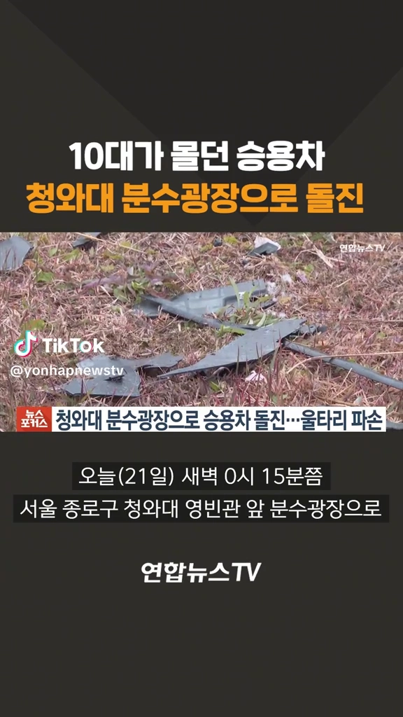 10대가 몰던 승용차 청와대분수대로 돌진