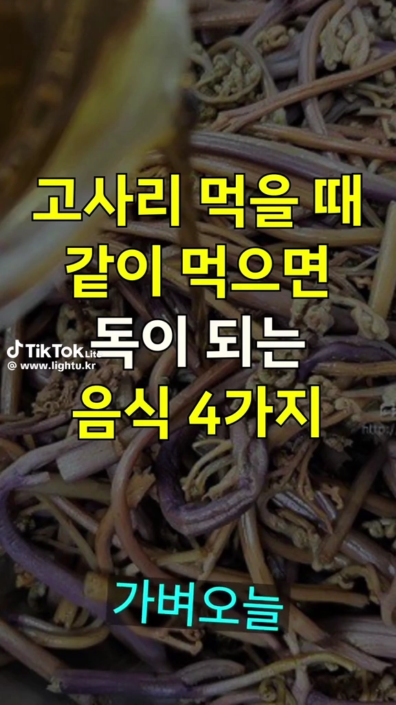고사리와 같이 먹으면 안되는 음식들