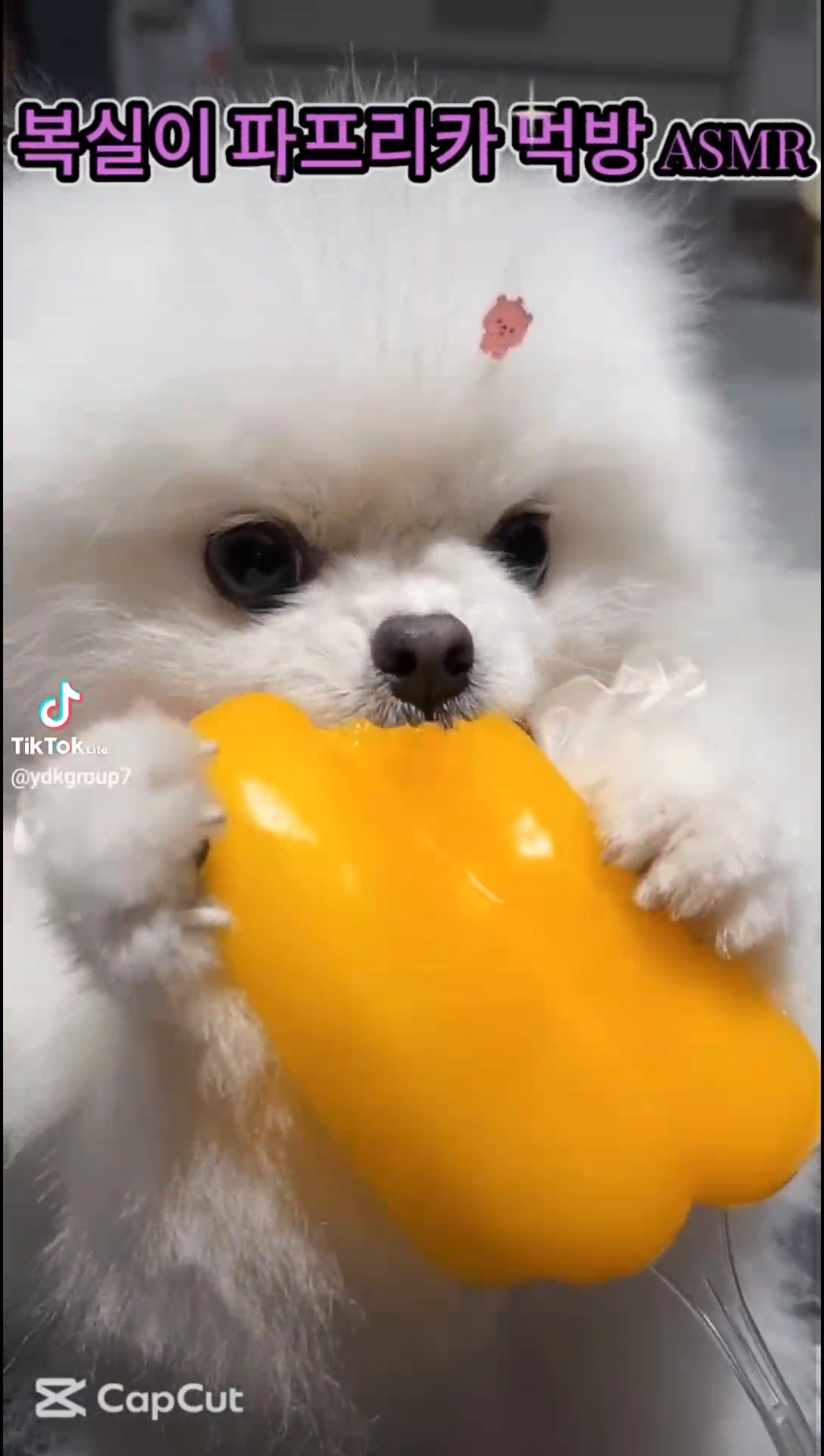 파프리카를 이렇게 맛있게 먹을 일이야?