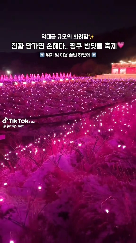 핑크반딧불 테마파크