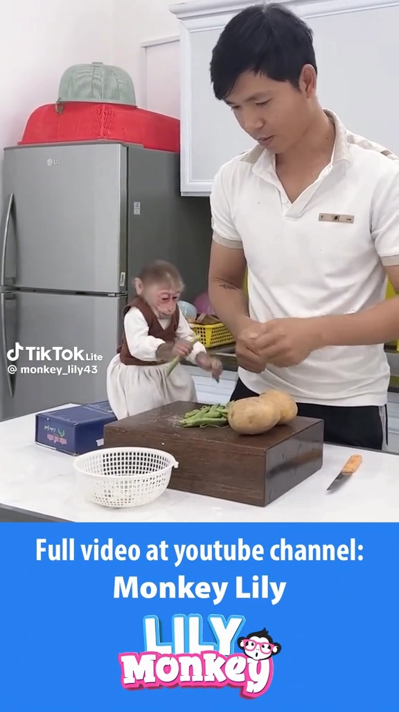 말만 할줄알면 사람이네