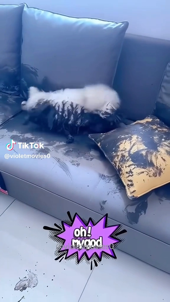 주인 어떻게