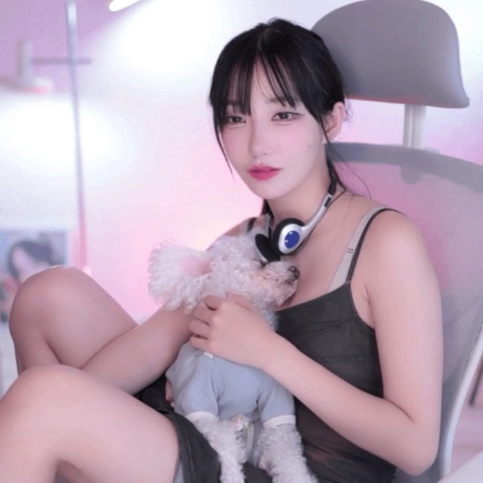 QWER 마젠타 미드 강아지도 놓치지 않는 포근함