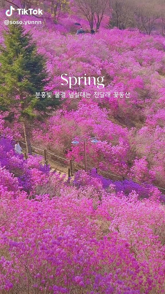 원미산