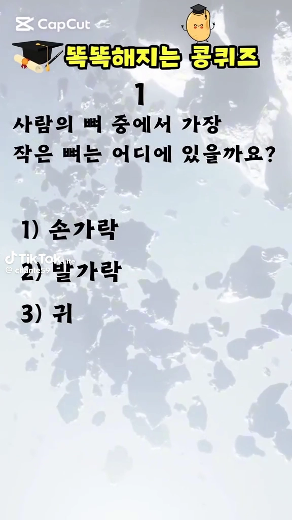 콩퀴즈