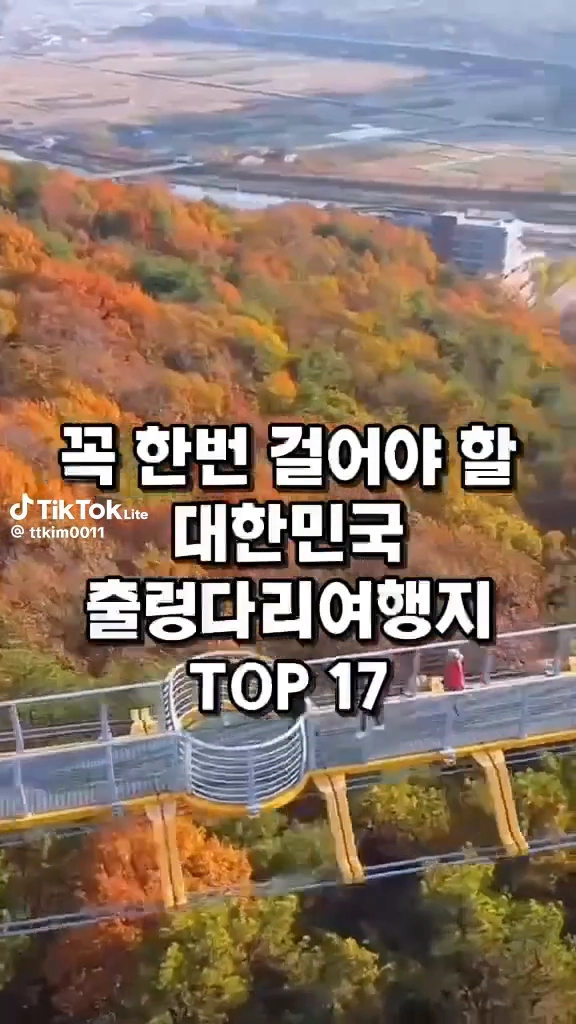 용감한 사람들이 필수 가는 우리나라 출렁다리