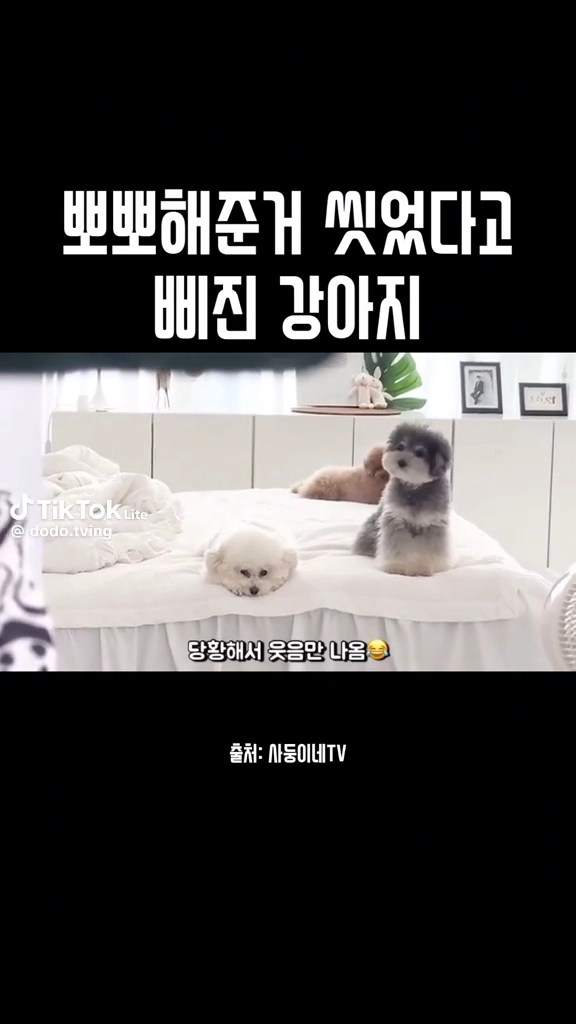 얘는 분명 사람이야