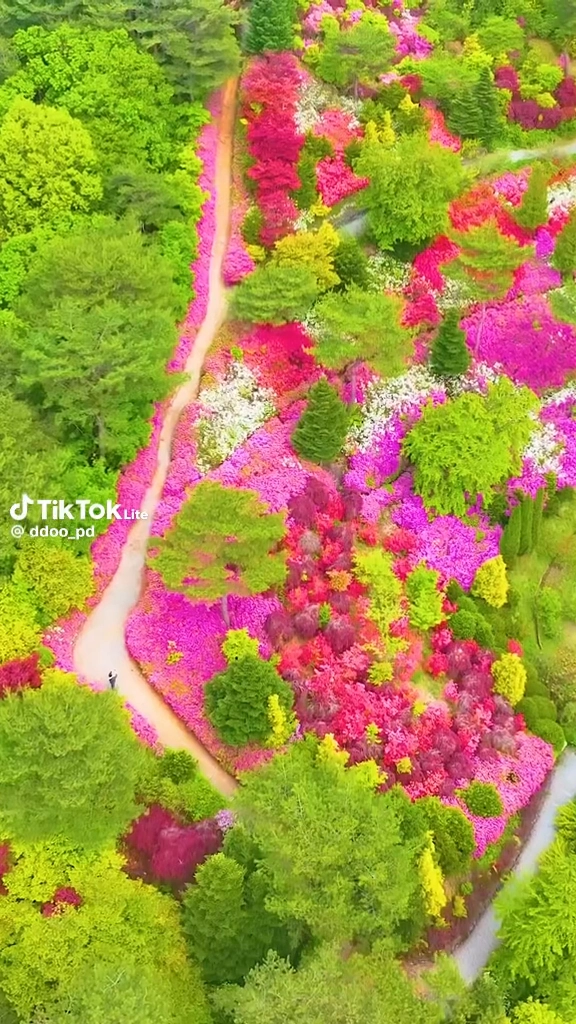 척야산수목원