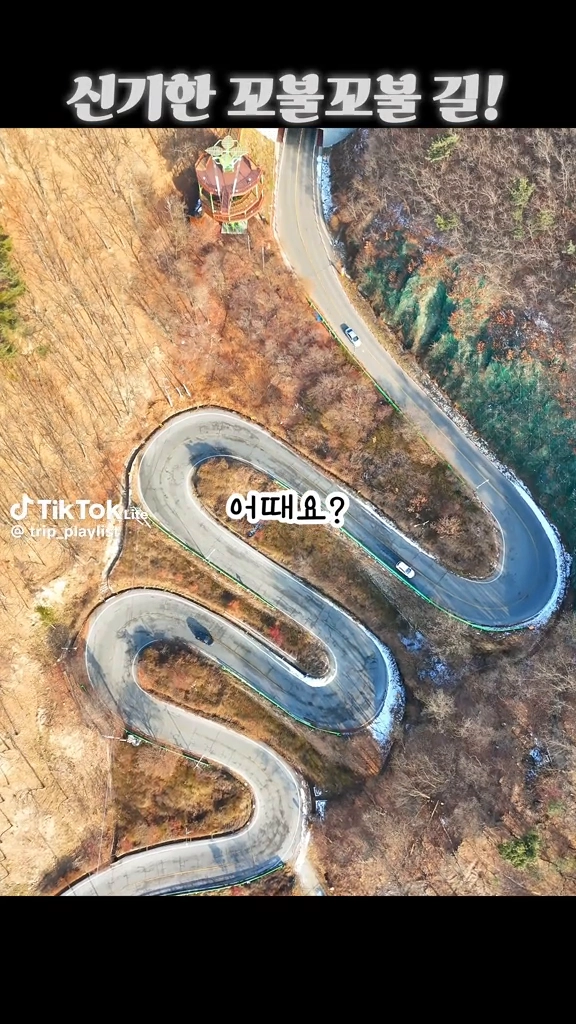 신기한 꼬불꼬불길