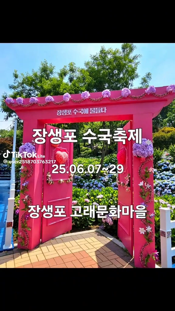 장생포수국축제