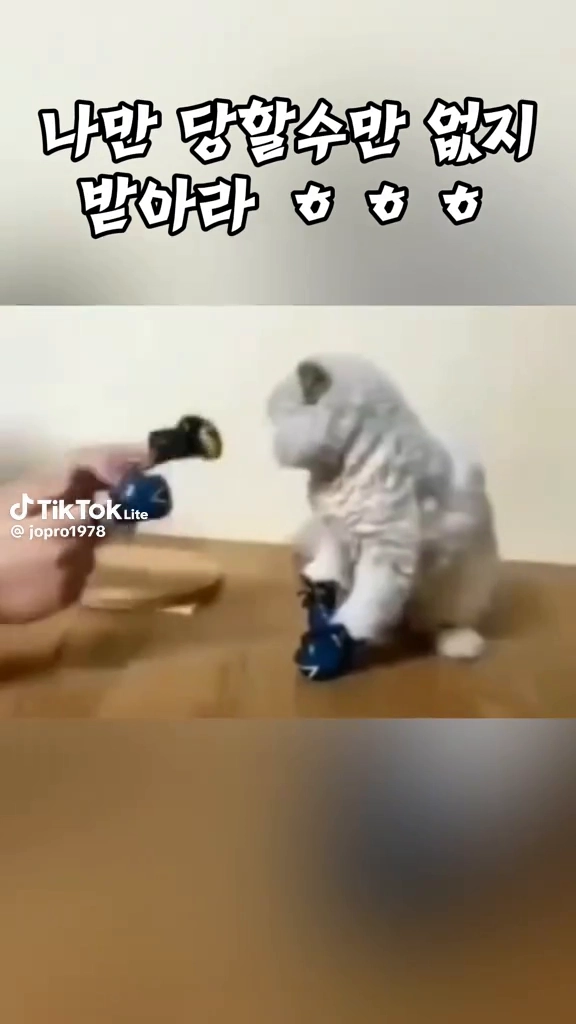 너가 대신해라 ㅋ